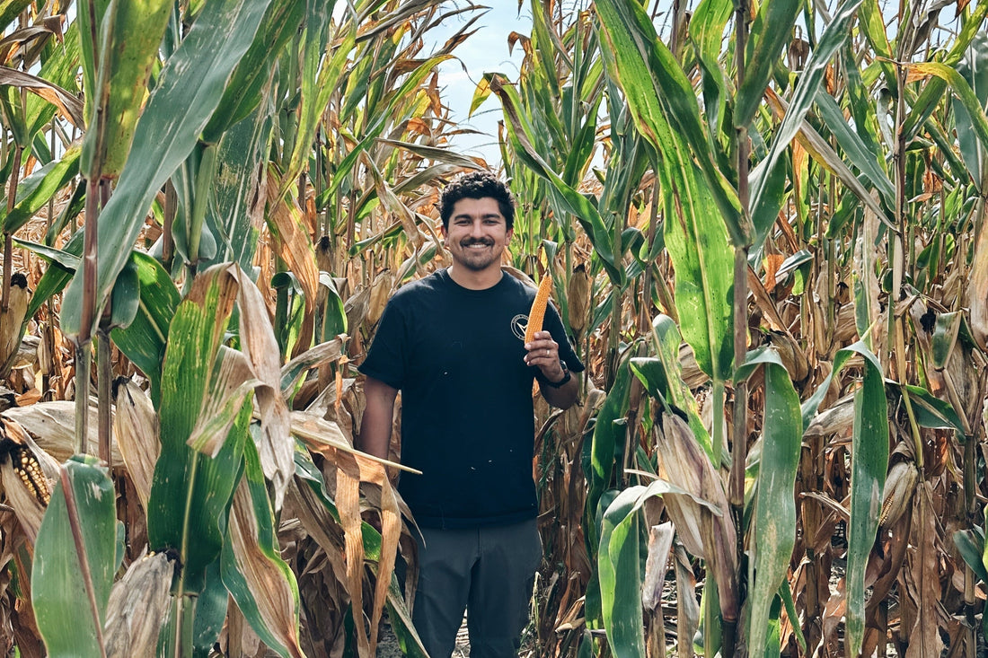 Popcorn with Roots: How Growing Our Own Kernels Sets Us Apart